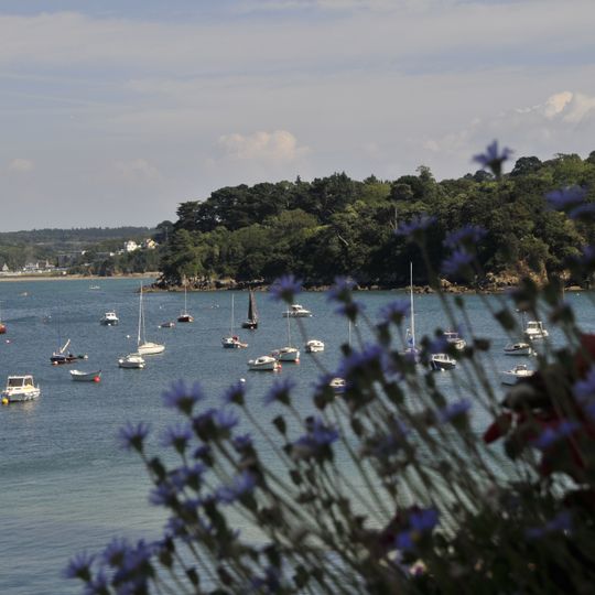 Punto di vista panoramico