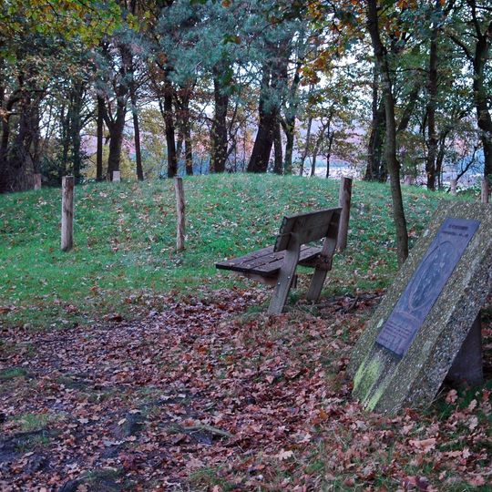 Tumuli west of Weijerseweg