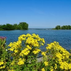 IJsselmeer