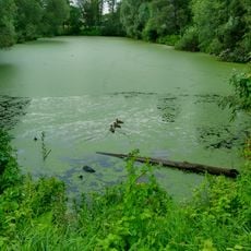 Парк бывшей архиерейской мызы регулярно-пейзажной планировки (Великий Новгород)