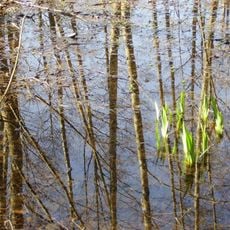 Réserve naturelle régionale du marais de Larchant
