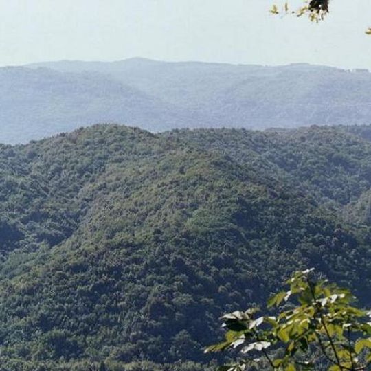 Parc naturel régional du Serre