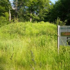 Grabhügel (Hemberg Götzingen)