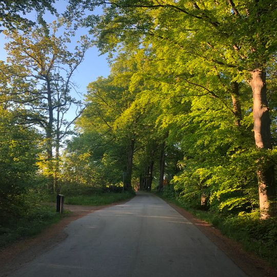 En lindalle? ca 100st Bastasjö gård