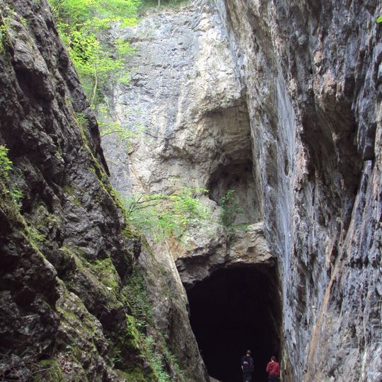 Alyn Valley Woods and Alyn Gorge Caves