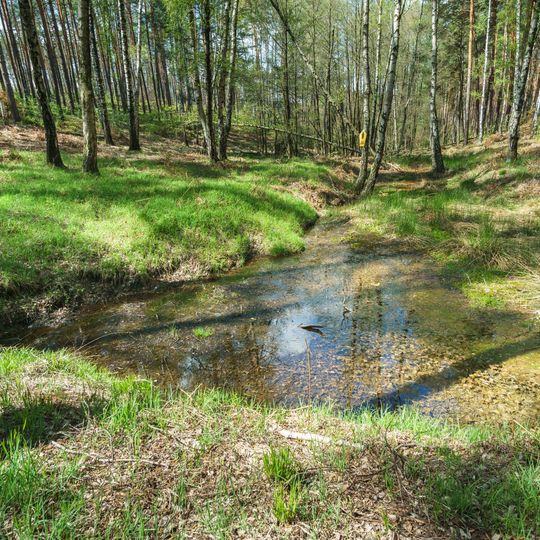 Spring "Amandaquelle" in Sitzenroda forest