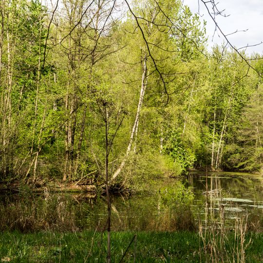 Wolbecker Tiergarten