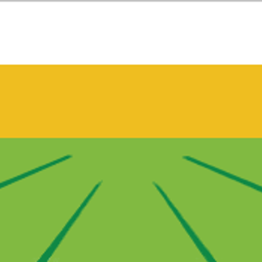 Дружинское сельское поселение