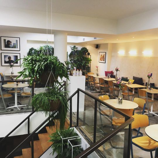 MOAK Pancakes - City Center