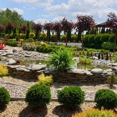 Plenerowe Centrum Rozrywki