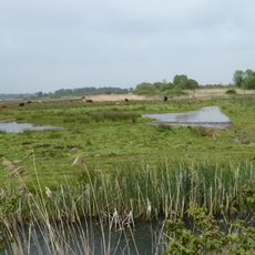 Carlton and Oulton Marshes