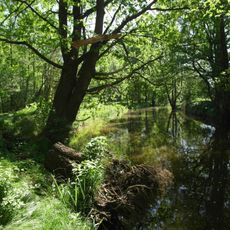 Große Röder zwischen Großenhain und Medingen