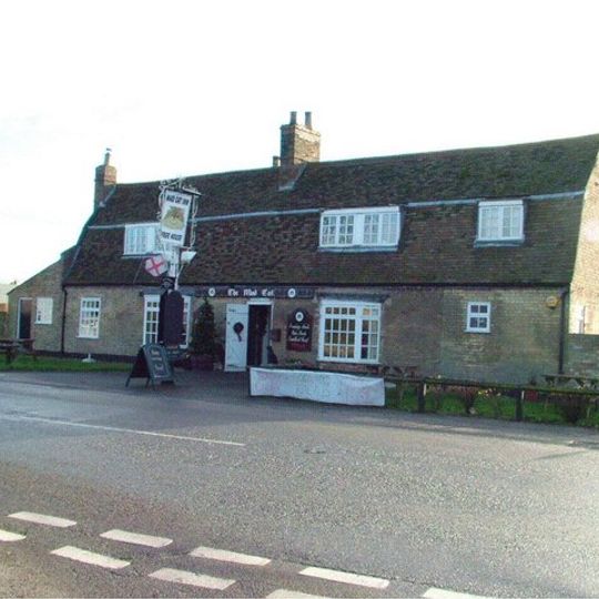 Mad Cat Public House