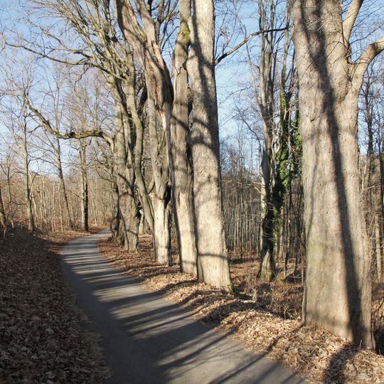 Alej Sokolí hnízdo