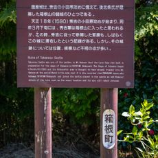 Château de faucon Sujo Noriyuki
