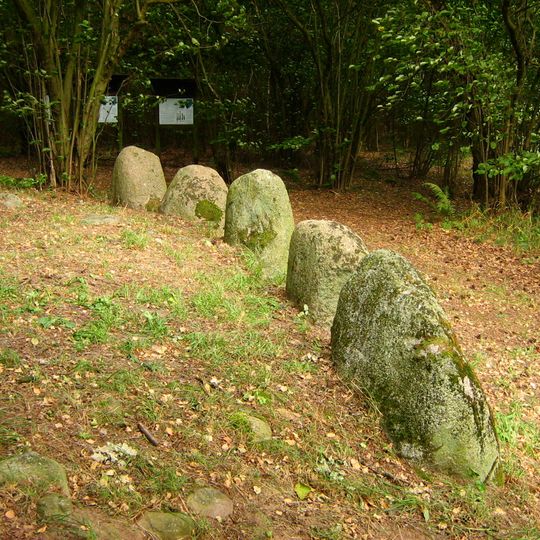 Großsteingrab Liepen 7