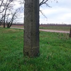 Distanzstein Altenau-Fichtenberg