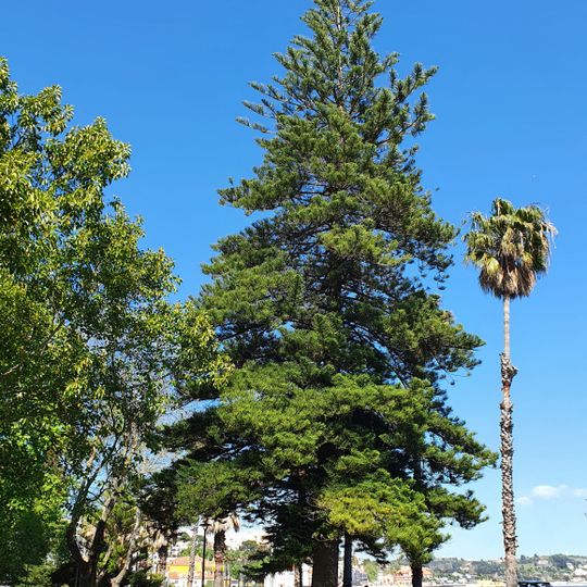 Jardim Público de Paço de Arcos