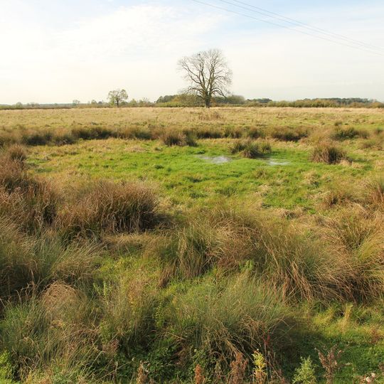 Hall Close: a medieval and post-medieval hall complex south of Dovecote Lane, with dovecote, gardens, fishponds, churchyard and
