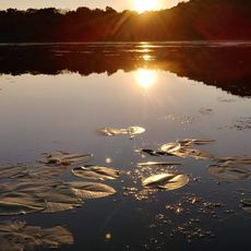 Leverett Pond