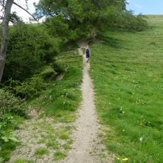 Offa's Dyke: section 175m east of Cefn Bronydd