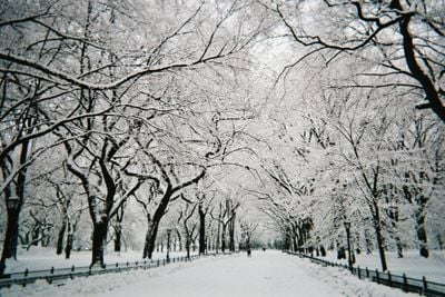 Winter 2