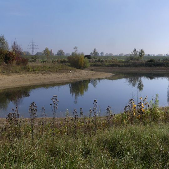 Laubenheimer-Bodenheimer Ried