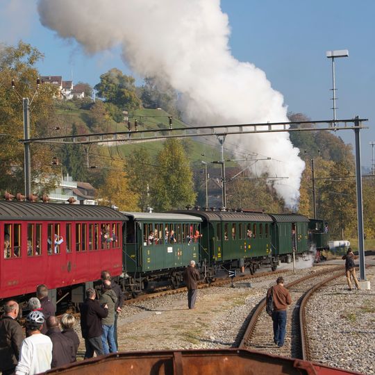 Dampfbahn-Verein Zürcher Oberland