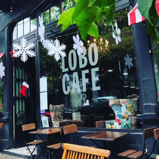 Lobo Café