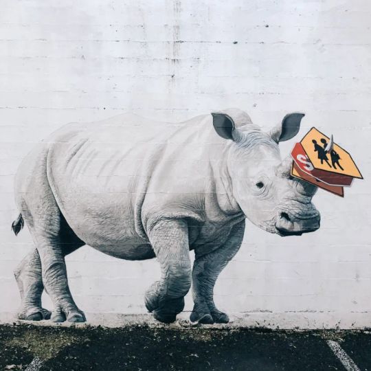 Rhino mural
