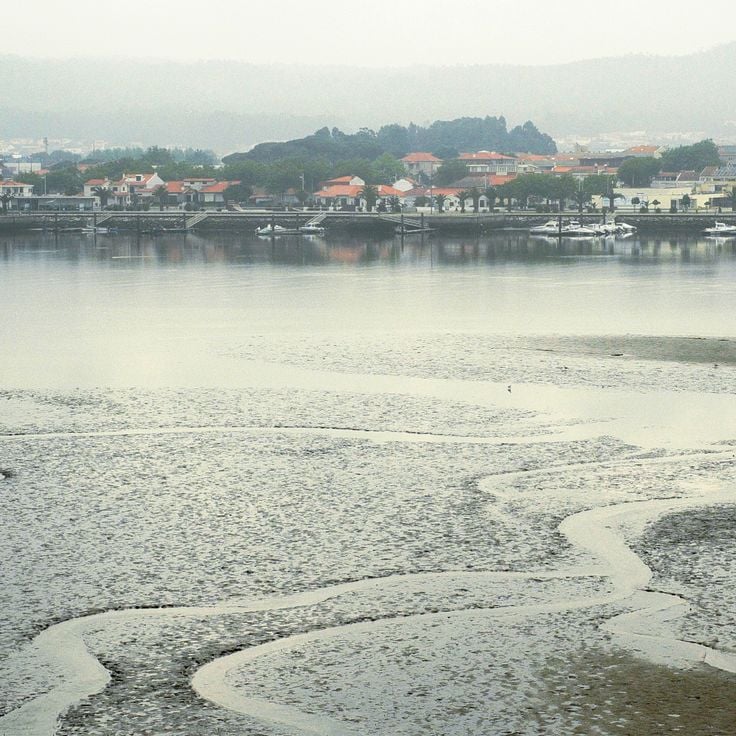 Litoral Norte Nature Reserve