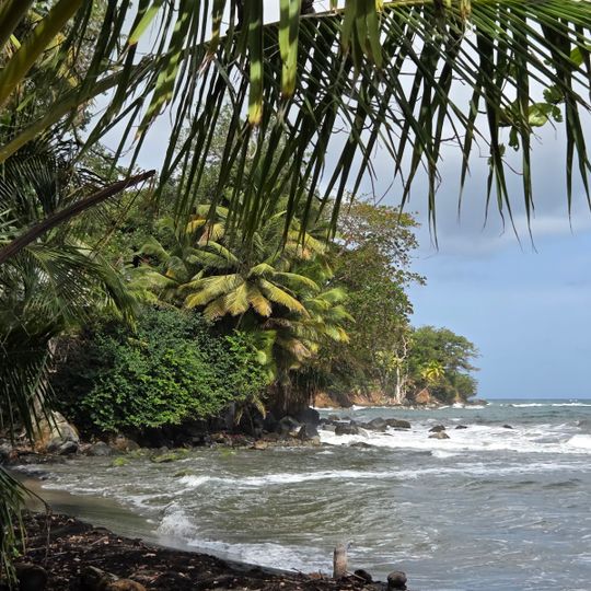 Plage de Salée-Bananier