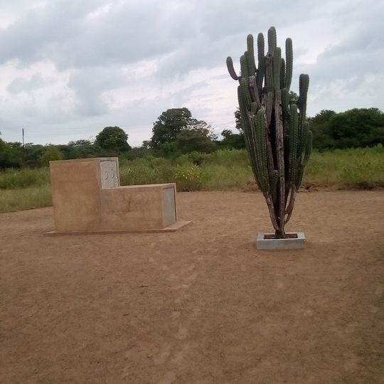 Parroquia Concepción