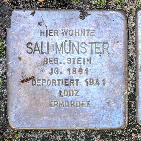 Stolperstein en memoria de Sali Münster