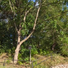 Halde Am St.-Peter-Schacht