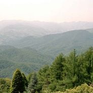 Navarre en Espagne : patrimoine historique, nature pyrénéenne et chemin de Saint-Jacques