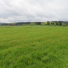 Offenlandbereiche nördlich und östlich Arpe