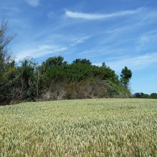 Tumulus de Middelwinden