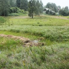 Jindřichovský mokřad