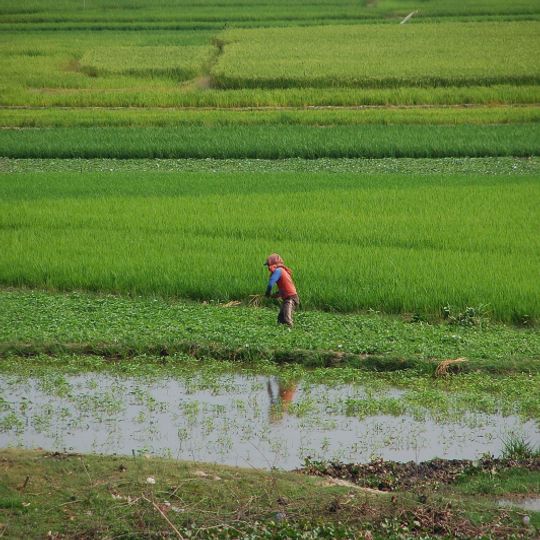 Municipalità di Doun Kaev