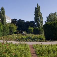 Rosarium Wettsteinpark
