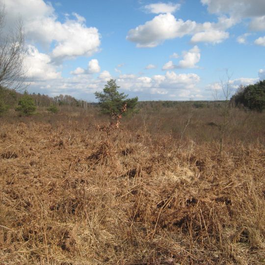 Mechelse heide en vallei van de Ziepbeek