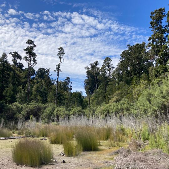 Saltwater Lagoon Scenic Reserve