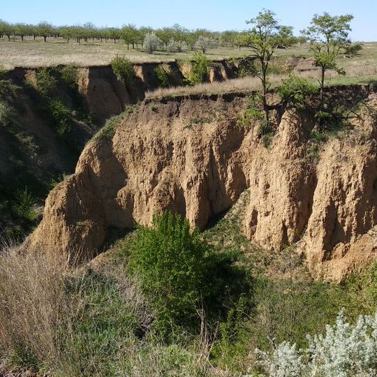 Outcrop of Etulia clay