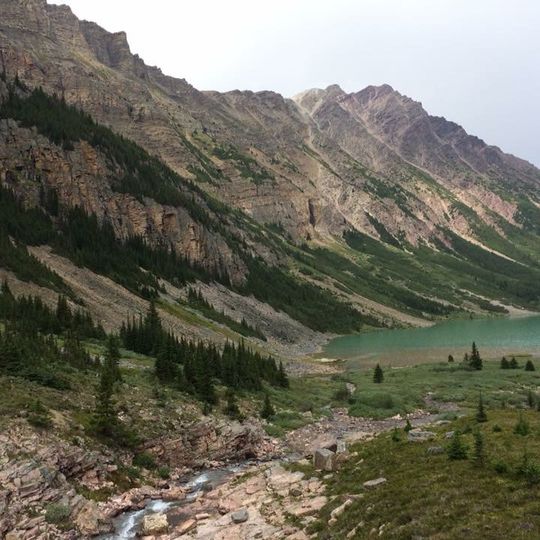 Siffleur Wilderness Area