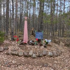 Братская могила советских воинов (Лоймольское с.п.)