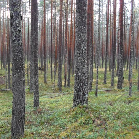 Agusalu Nature Reserve