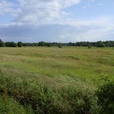 Hochmoor und Grünland am Heiddeich