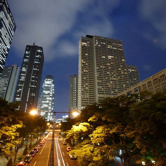 Keio Plaza Hotel Tokyo
