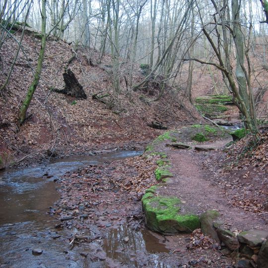 Mühlenbach Schluchtentour